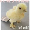 Hansa knuffels Chick Hansa Toy 12 Cm* Farm Animals
