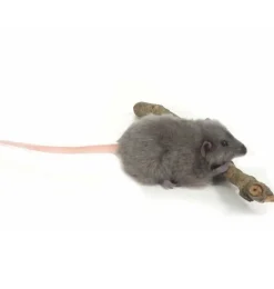 Hansa knuffels Grey Rat Soft Toy Hansa* Nocturnal Animals To Cuddle