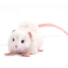 Hansa knuffels White Rat Soft Toy Hansa 12 Cm* Mice & Rat Cuddly Toys